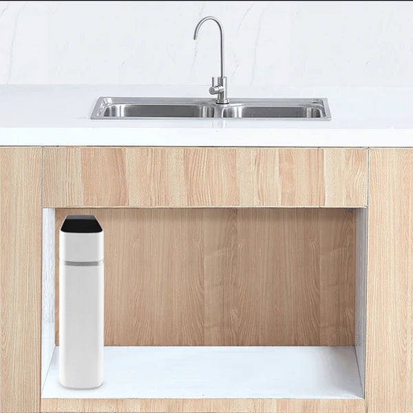 Echo Tankless RO System